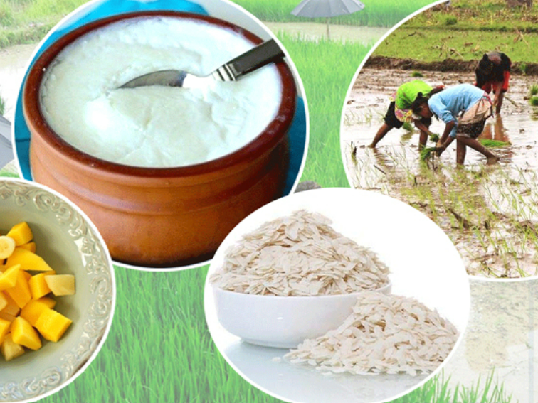 धान दिवसमा दही चिउराको संस्कृतिलाई निरन्तरता 